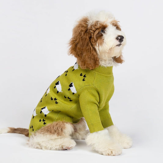 Funny Sheep Dog Sweater, Thermal Winter Clothes for Small Dogs, Boy, Girl - Dog Holiday Pullover Jumper, Pet Outfit - Black, Green, White, S